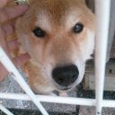 ナム (@08038853) Twitter
