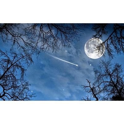 غياب الاحترام يأتي بألف عنوان وألف هوية .....
