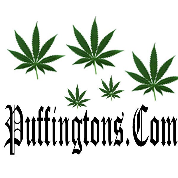 http://t.co/zVvLCKvCZy is a cannabis news related website. We shall be launching in October 2014 and are looking for contributors.