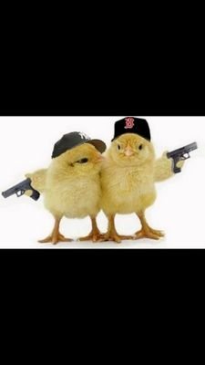 Jimmyelpollito's profile picture. 