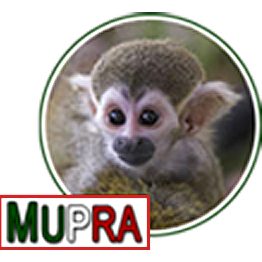 México Unido Por el Respeto a los Animales, MUPRA. Pro-vida, por los Derechos de los animales y la tipificación del abuso hecho contra ellos como crimen penal.