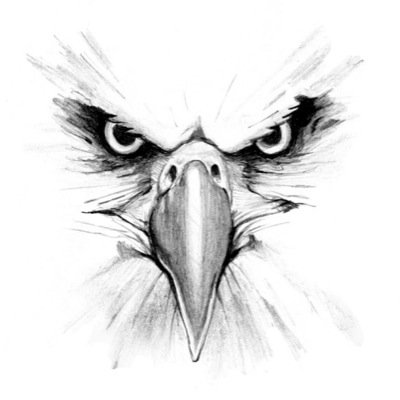 just a massive footie fan but only the mighty Palace really matters