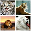 Eva Hook - @mesweeneyh - Twitter