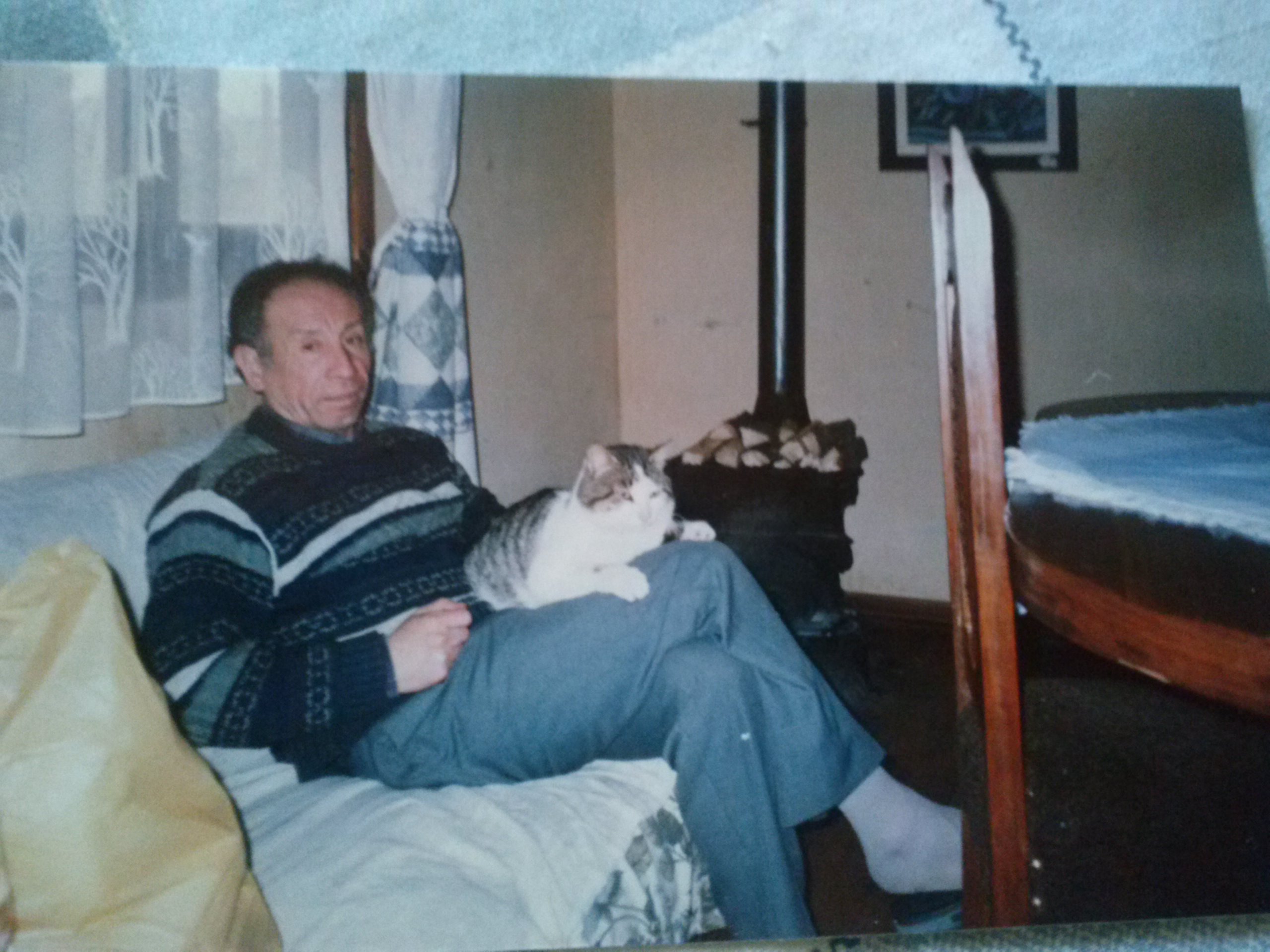 guallito1520's profile picture. 