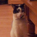 John Hunter - @ThatJohnHunter - Twitter