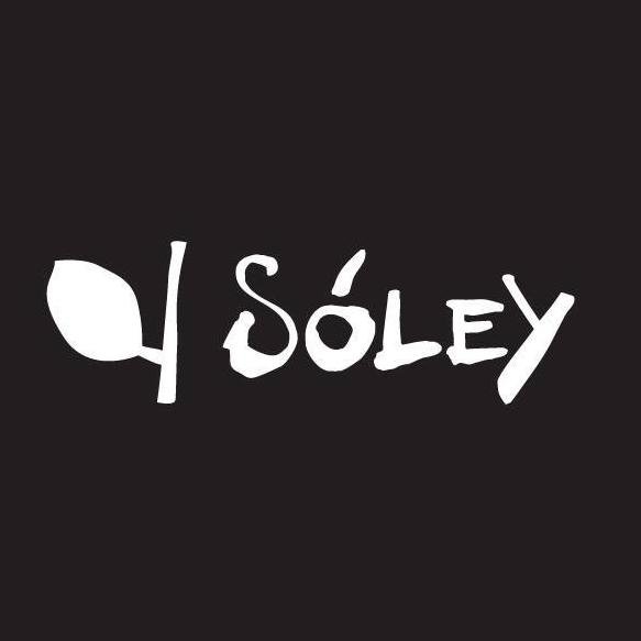 Naturally pure #skincare with wild Icelandic #herbs | #soleyorganics