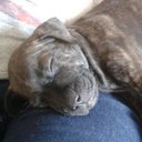 Adam Garner - @garner954 - Twitter