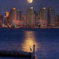 청년이 대한민국의 미래다 (@rover1998) 's Twitter Profile