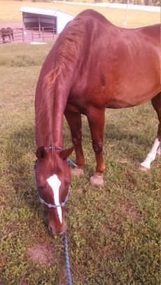 kcharriari's profile picture. some people think i'm funny.... maybe