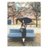 cLairecLa's profile image