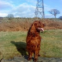 Mark Wide (@wide54) 's Twitter Profile