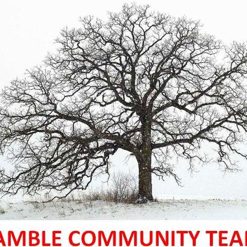 AmbleCommTeam's profile picture. 