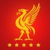Liverpool News (@newsliverpool) Twitter profile photo