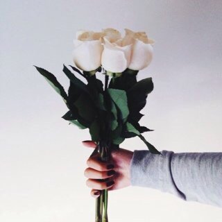 اسعدتك ب فولو ؟ اسعدني ب فولو هنا @ro_odi_2001 روح المفضله (: .