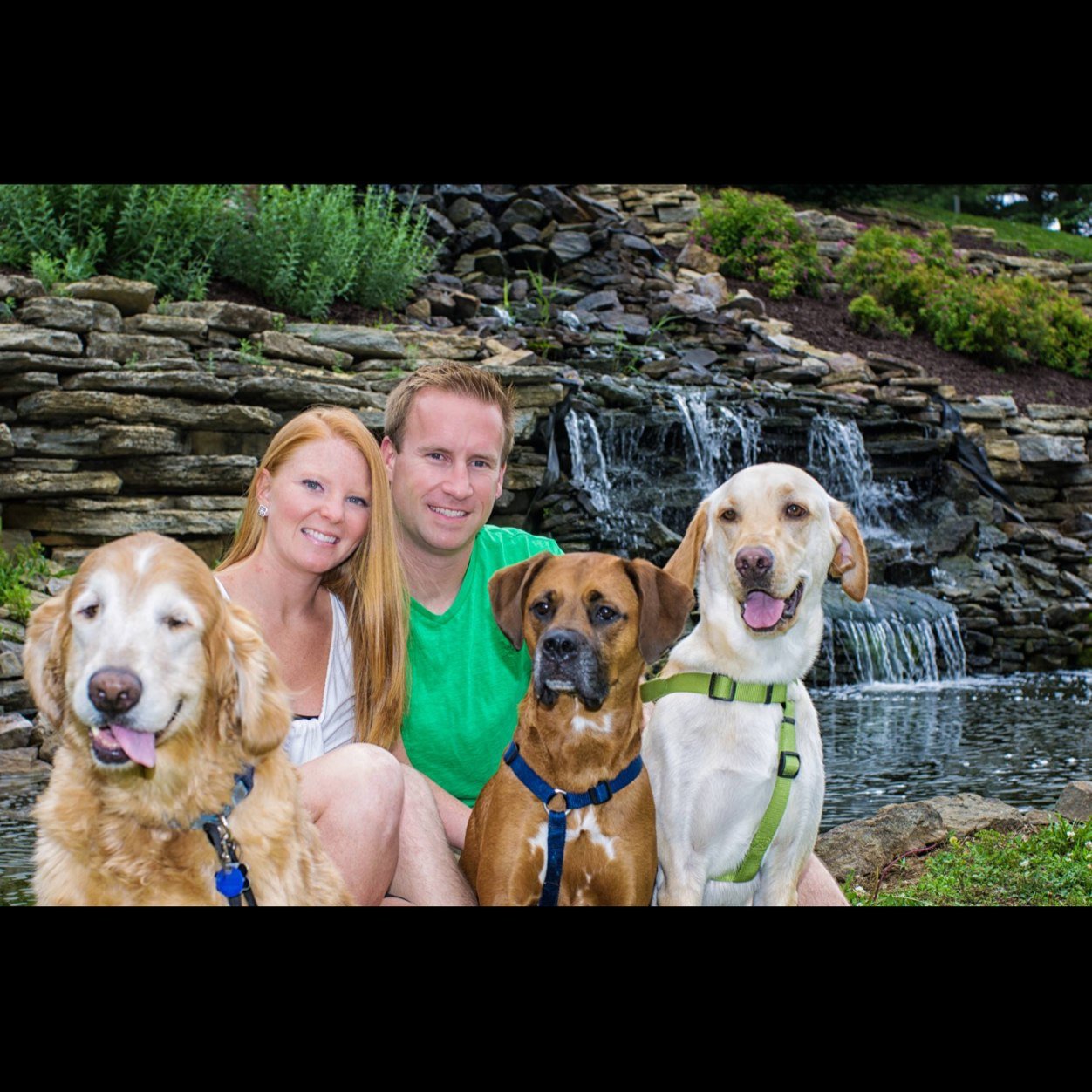 MichaelDahm1's profile picture. One half of the famous brain trust