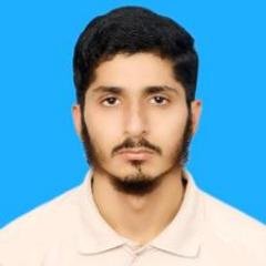 Software Engineer
