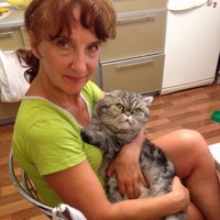 Смирнова Ольга (@smirnovaolaa) 's Twitter Profile Photo