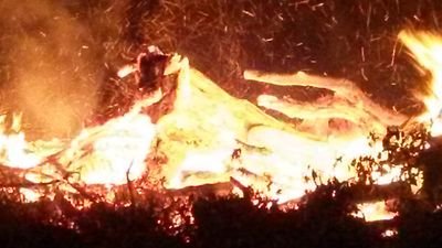 krobertsonpsu's profile picture. 