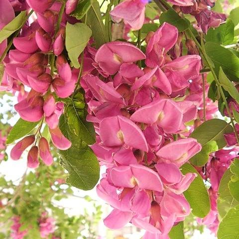 TanmoyWorld's profile picture. 