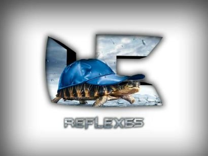 Unite_Reflexes's profile picture. 