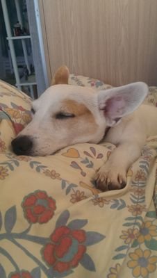 jeremyjeje60's profile picture. 