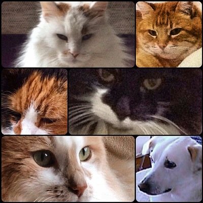 pmyzc's profile picture. 