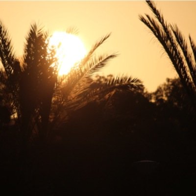 _katya7's profile picture. Hello everybody read me and i will read you☀ Follow me in instagram - katushik_ ❄