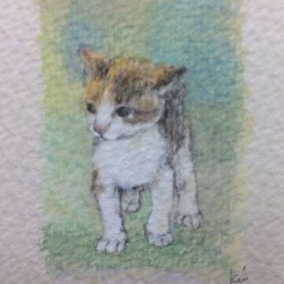 Ｋコム77さんのプロフィール画像