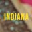 {Proyecto INDIANA}