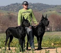 MiguelAngelLav1's profile picture. 