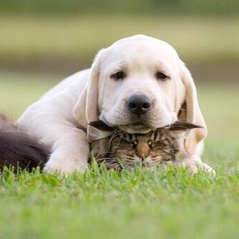 enisuposoj155's profile picture. 案外治ったたまに見る