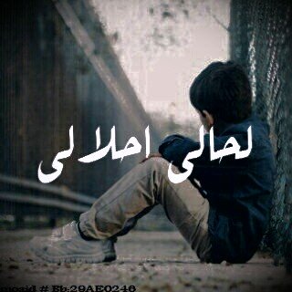 𝒔𝒍𝒍𝒂𝒎𝒊