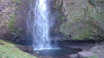 fcardenas73's profile picture. Apasionado de los proyectos,