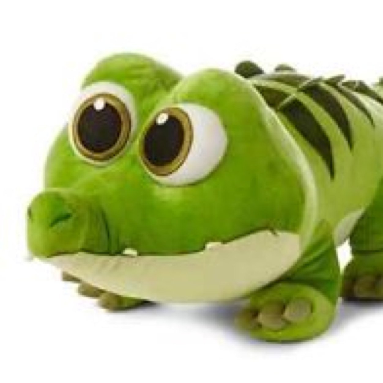 cocodrilsP1's profile picture. 