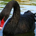 Rey salas - @esquivel7521 - Twitter