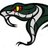 fvshsga's profile image