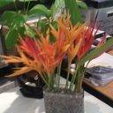 Beatriz Guzman - @betyg0817 - Twitter