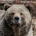 Stu Hagen (@stuhagenphotos) Twitter profile photo