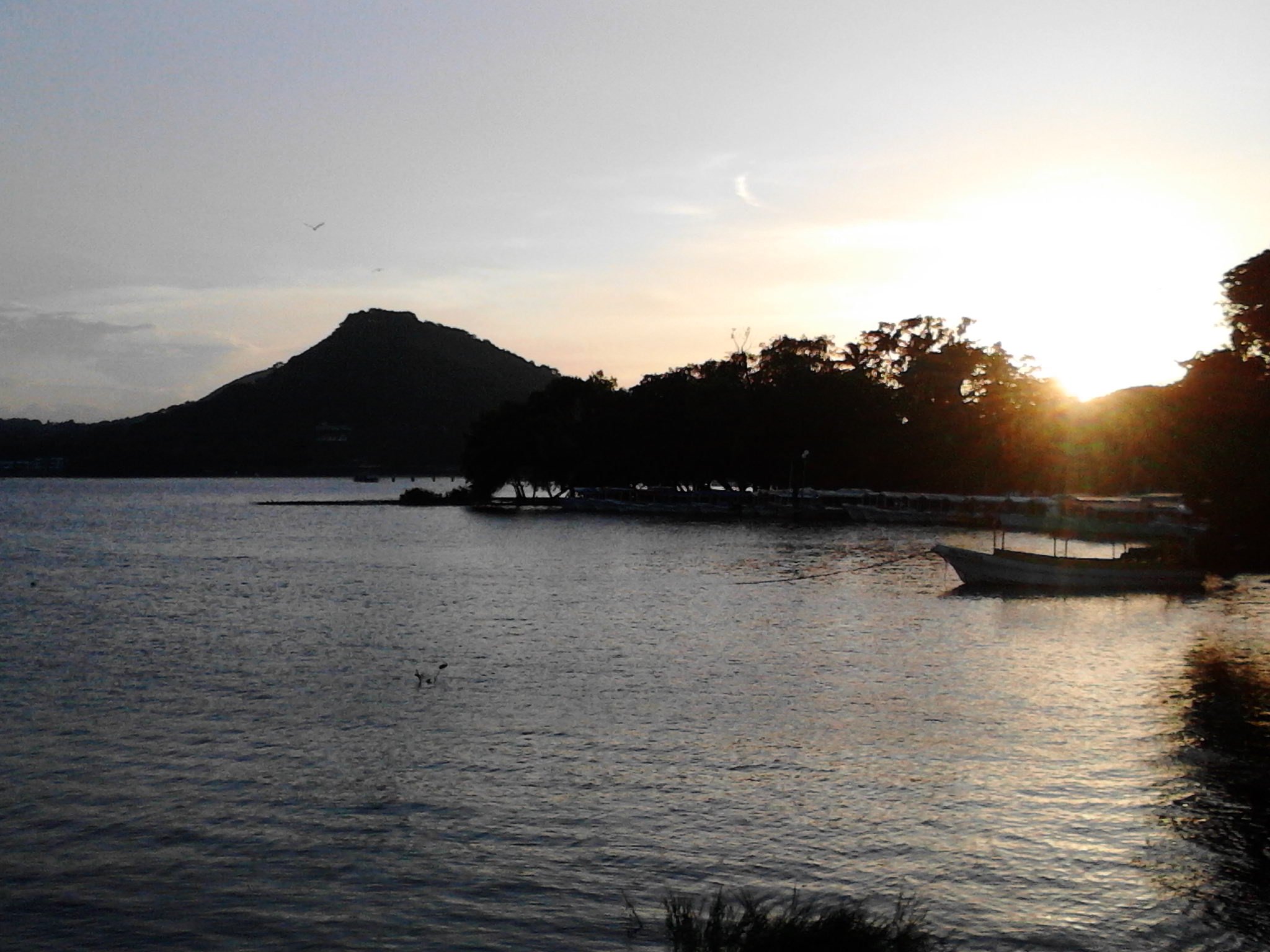 data_bmm's profile picture. ............................................................................