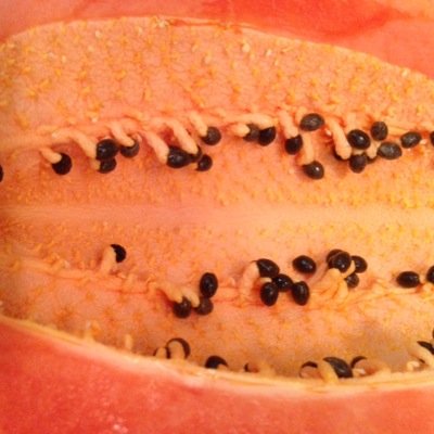 Let food be thy medicine & medicine be thy food. - Hippocrates