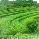 غريب الدار (@0532214346) Twitter