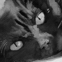 Strikeheart (@strikeherdown) 's Twitter Profile