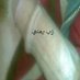 يمني ذمار (@mkhtany) Twitter profile photo يمني ذمار (@mkhtany) Twitter profile photo