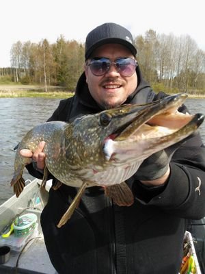 Nokialaanen haukimiäs