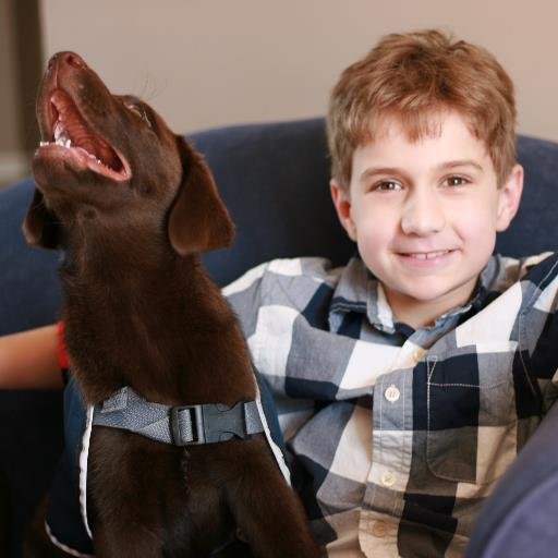 Join us on our journey as we raise money for Andrew's autism therapy dog.