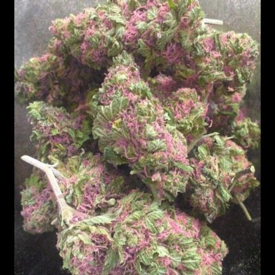 THESTONERSGROUP™ New waves. Good Weed & Good Times  DM. Bud/Glass/Music Send all pics @ name for credit.