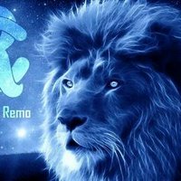 Sangue Azul (@sflexa) 's Twitter Profile