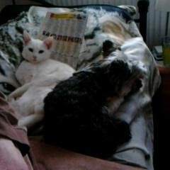 PetraSingh1's profile picture. 