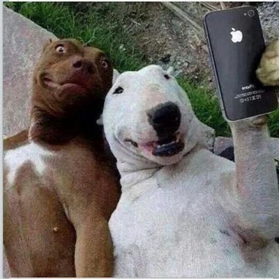 Escribo lo que quiero, el sarcasmo es mi mejor amigo, el único en que confío mis secretos.