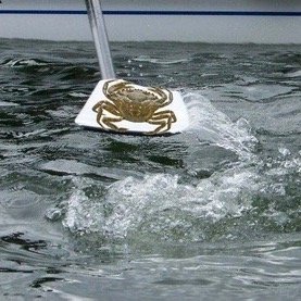 Rower and blogger for Junior Rowing News. All opinions are my own.
